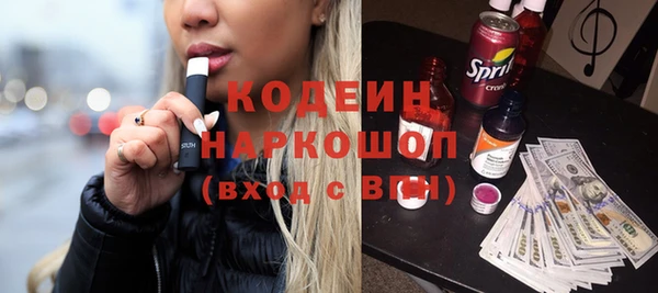 мдпв Вяземский