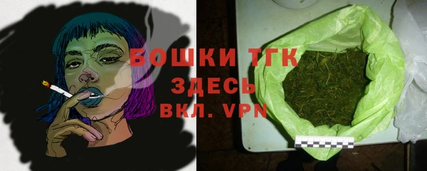 мдпв Вяземский