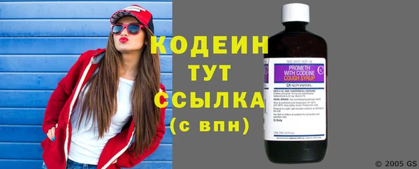 мдпв Вяземский
