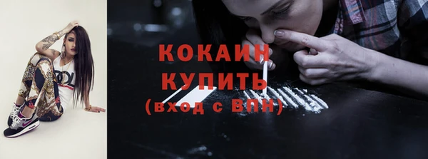 мдпв Вяземский