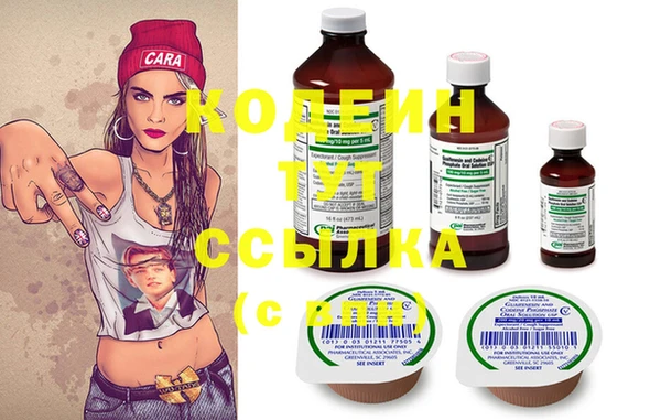 мдпв Вяземский