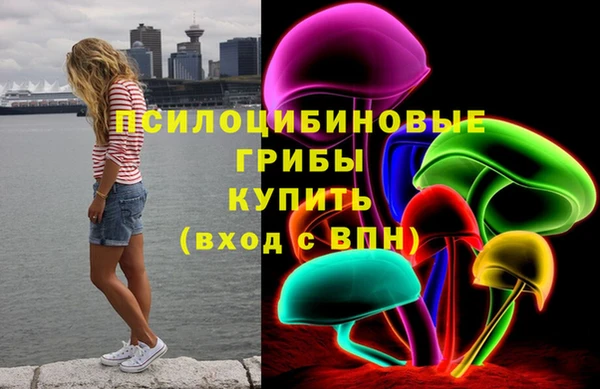 прущая мука Вязьма