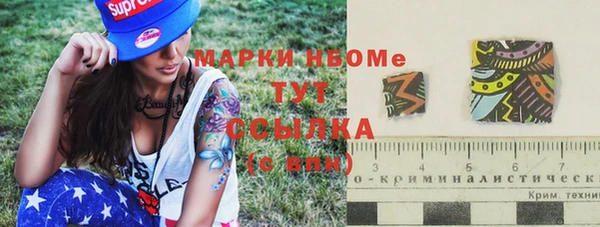 мдпв Вяземский