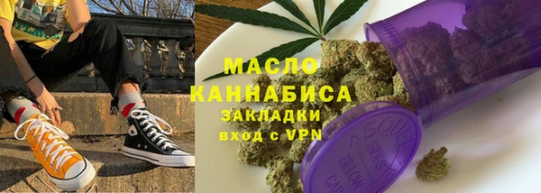 мдпв Вяземский