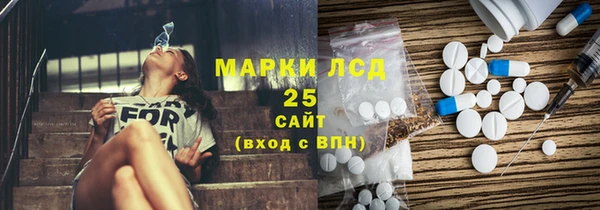 мдпв Вяземский