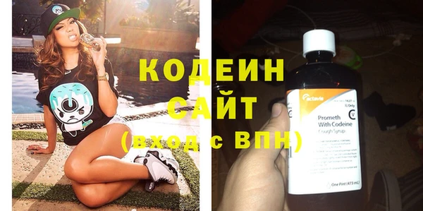 мдпв Вяземский