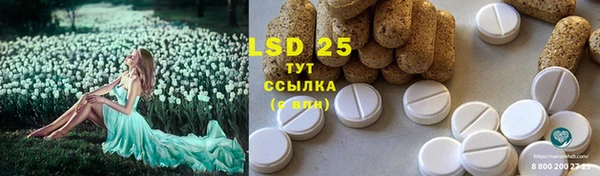 прущая мука Вязьма