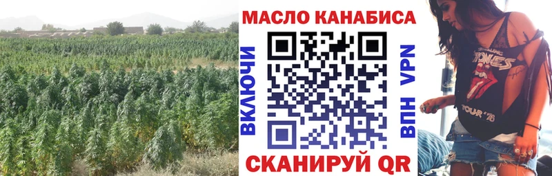 Купить  Светлогорск  Дистиллят ТГК гашишное масло 