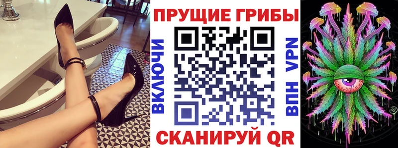 Купить где  Светлогорск  Галлюциногенные грибы GOLDEN TEACHER 
